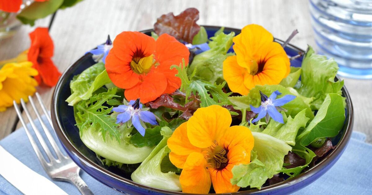 How to use edible flowers to make food look and taste fab