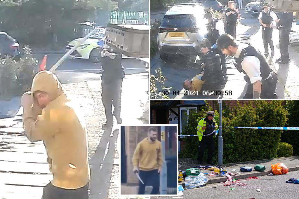 Shocking doorbell footage shows moment cops finally corner sword-wielding killer in London