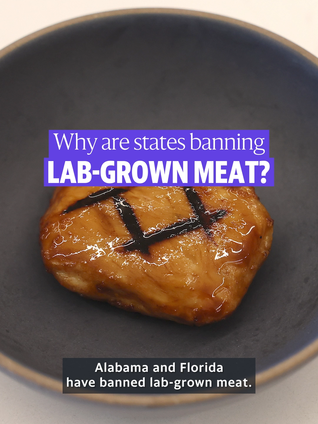 Alabama became the second U.S. state to ban lab-grown meat, joining Florida in outlawing the alternative protein. Here's why there's debate. #news #meatalternative #plantbased #florida #alabama #yahoonews