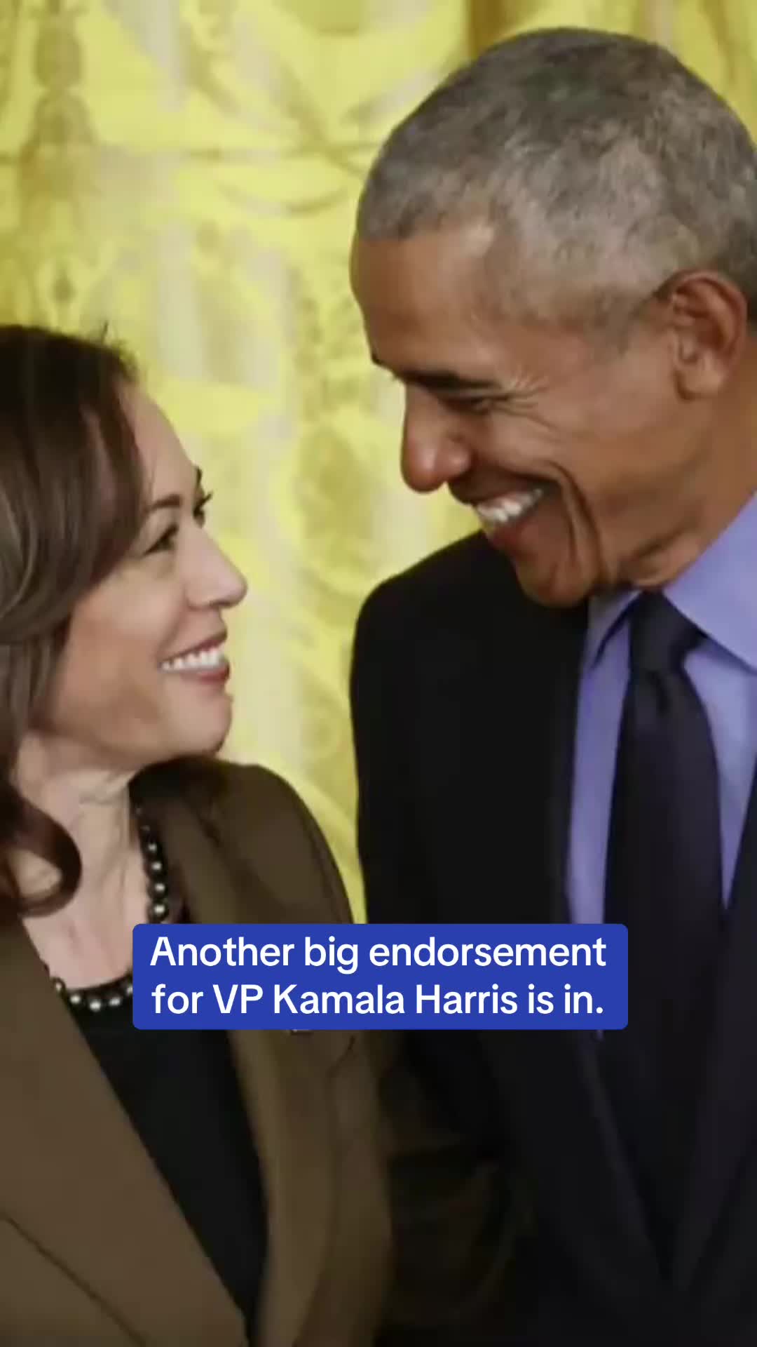 Barack and Michelle Obama have endorsed Kamala Harris, just days after Pres. Biden announced he would not seek reelection. The former president and first lady told the VP in a call that they will “do everything we can to get you through this election and into the Oval Office.” #news #kamalaharris #obama #election2024