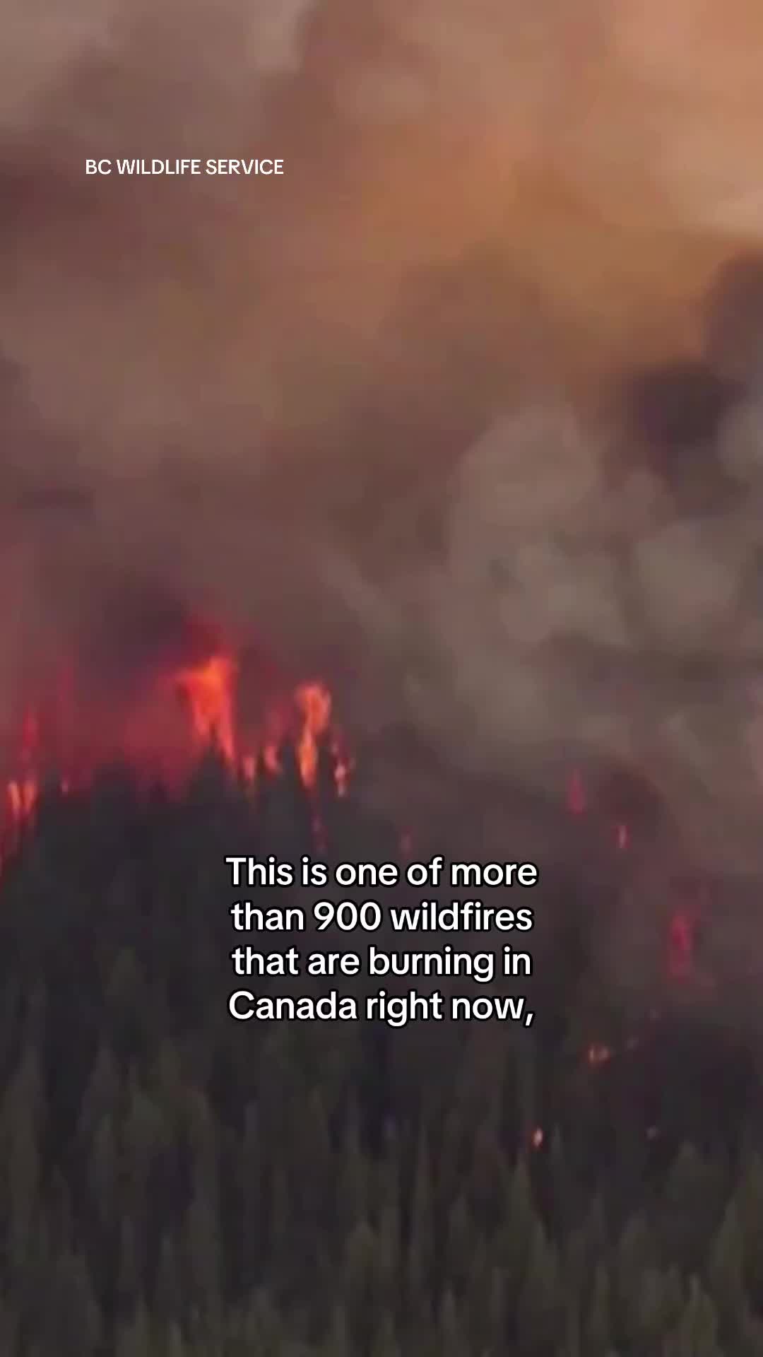 A fast-moving fire has ravaged the town of Jasper, Alberta in Canada, believed to have damaged 30-50% of structures. It is one of more than 900 wildfires currently burning across Canada. #news #wildfires #canada #jasper #alberta